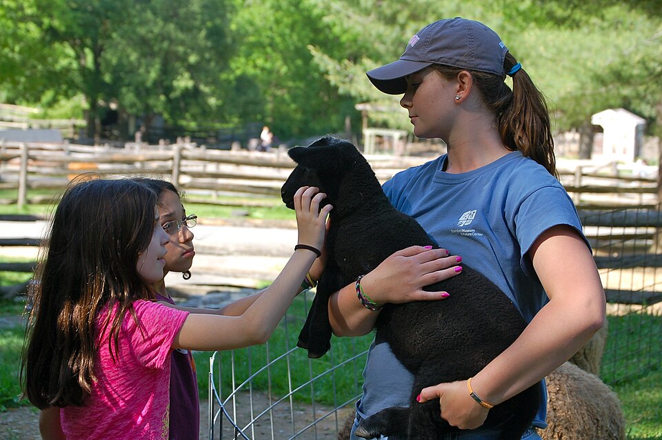 Kinderboerderij Kattendijksedijk